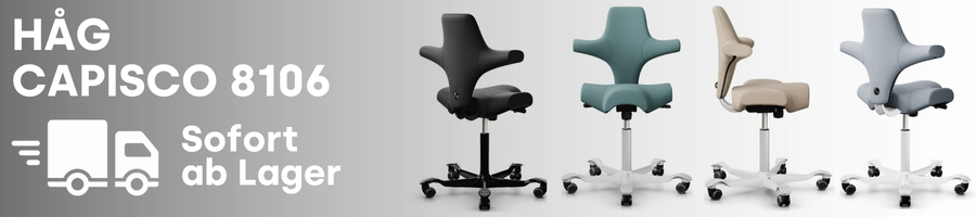 8106_Capisco_ab_Lager